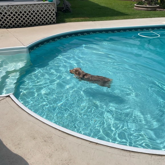 I’m Corinne! Thanks for stopping by to get to know me 😁 - Picture 4 of 14